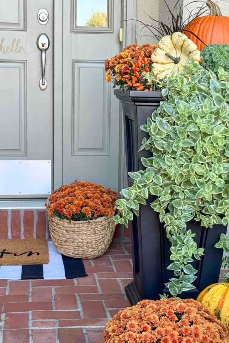 porch dressed up for fall