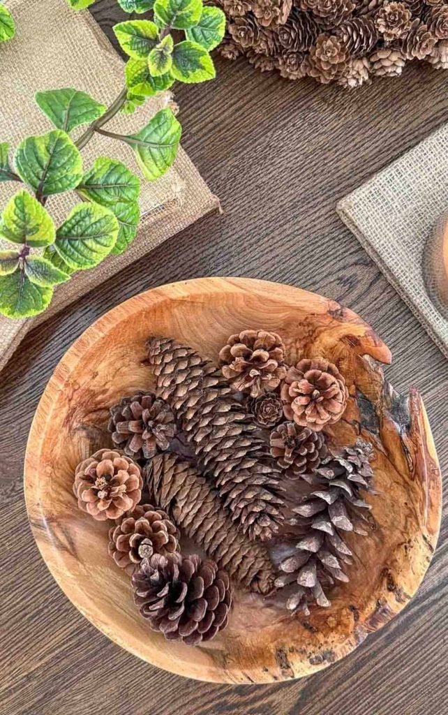 bowl of pinecones on a coffee table